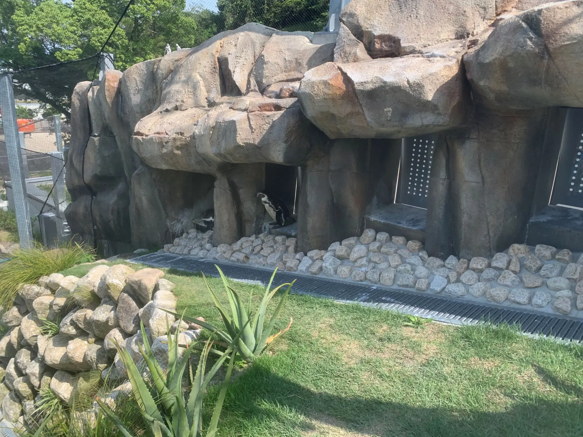 福岡市動物園　ペンギン展示施設